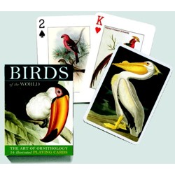 Poker karty Ptáci