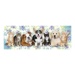 Puzzle Panoramic - Psi a kočky (150 dílků)