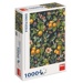 Puzzle - Kvetoucí pomeranče (1000 dílků)